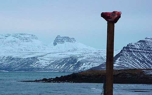  ��������� � �����, ��� ������ ��������� ������� ��������.